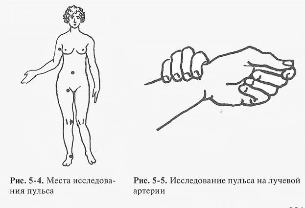 Измерения артериального давления. - student2.ru