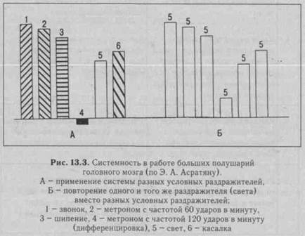 характеристика условных рефлексов - student2.ru