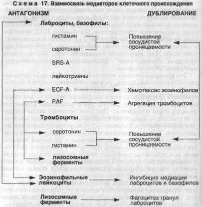 кинетика воспалительного процесса - student2.ru