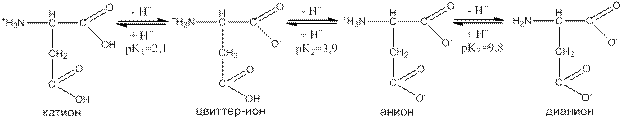 Кислотно-основные свойства аминокислот - student2.ru
