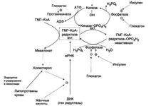 Ключевая реакция синтеза жирных кислот. Как осуществляется регуляция. - student2.ru