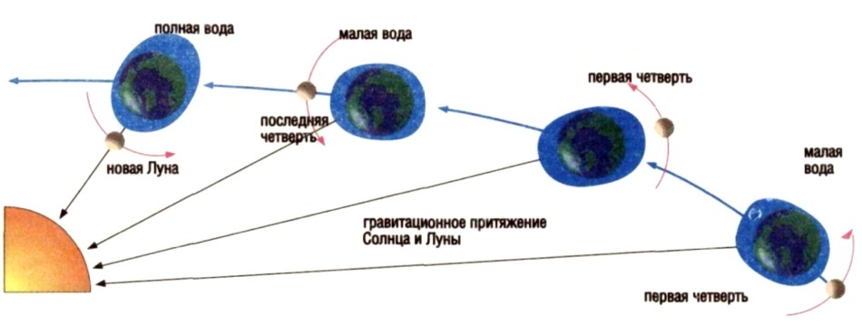 Лучшие места для парусного спорта - student2.ru