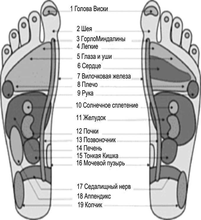 массаж активных зон ладони и стопы - student2.ru