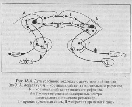 механизм образования условных рефлексов - student2.ru