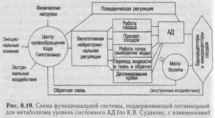 Механизмы небыстрого и медленного реагирования - student2.ru