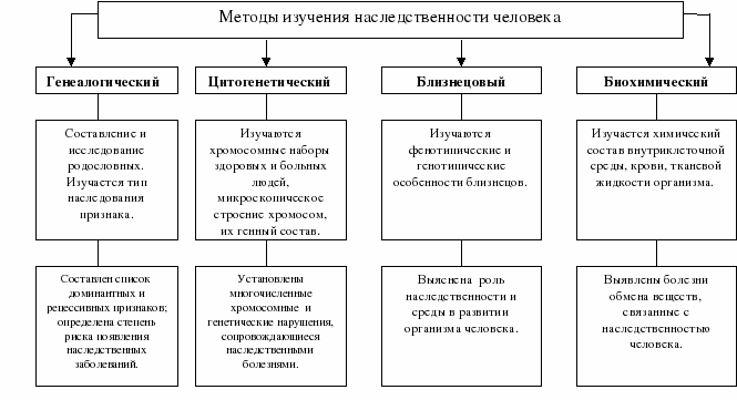 Метод исследования в анатомии - Препарирование трупов. - student2.ru