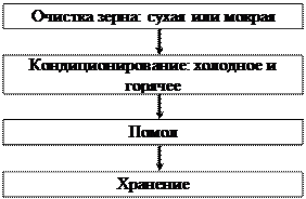 микрофлора муки (сырья), крупы - student2.ru