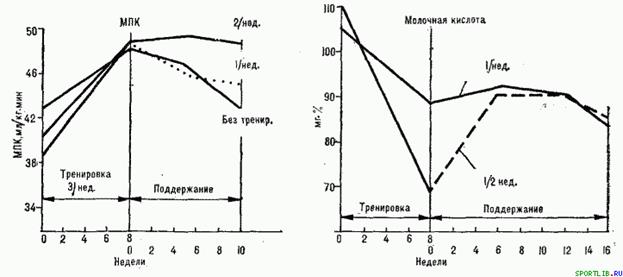 Обратимость тренировочных эффектов - student2.ru