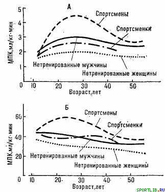 Обратимость тренировочных эффектов - student2.ru