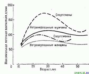 Обратимость тренировочных эффектов - student2.ru