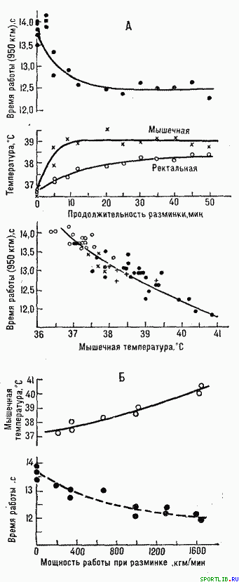 Обратимость тренировочных эффектов - student2.ru