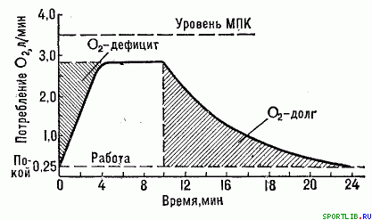 Обратимость тренировочных эффектов - student2.ru