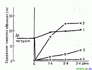 Обратимость тренировочных эффектов - student2.ru