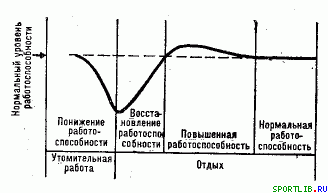 Обратимость тренировочных эффектов - student2.ru