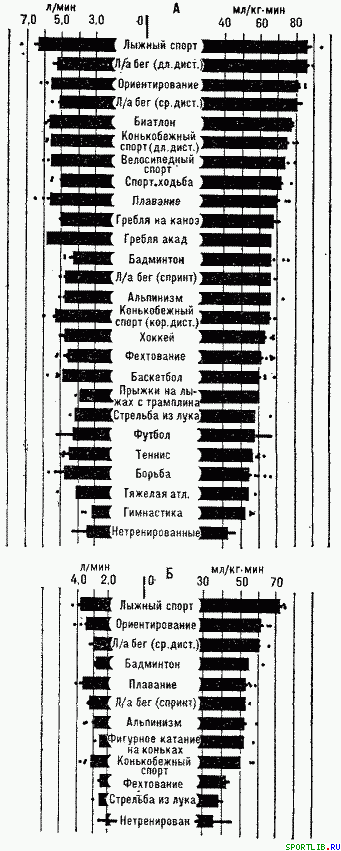 Обратимость тренировочных эффектов - student2.ru