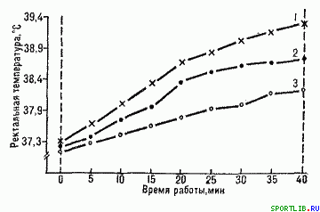 Обратимость тренировочных эффектов - student2.ru