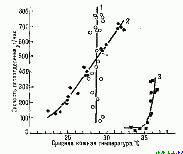 Обратимость тренировочных эффектов - student2.ru