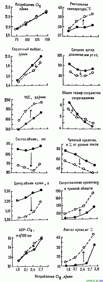 Обратимость тренировочных эффектов - student2.ru