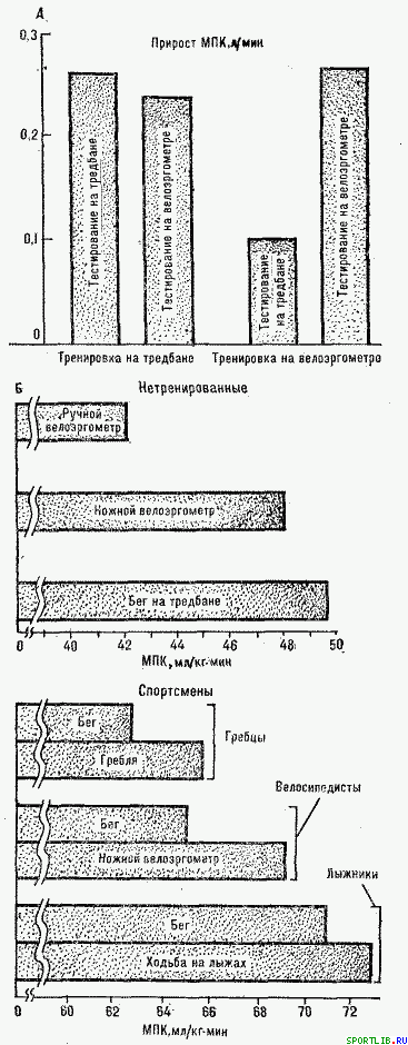 Обратимость тренировочных эффектов - student2.ru