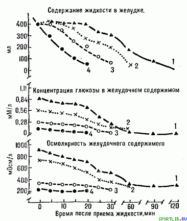 Обратимость тренировочных эффектов - student2.ru