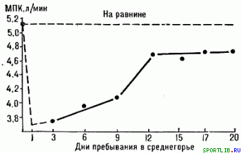 Обратимость тренировочных эффектов - student2.ru