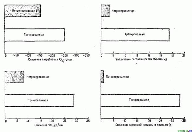 Обратимость тренировочных эффектов - student2.ru