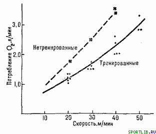 Обратимость тренировочных эффектов - student2.ru