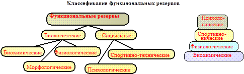 Общая характеристика и классификация функциональных резервов организма. - student2.ru