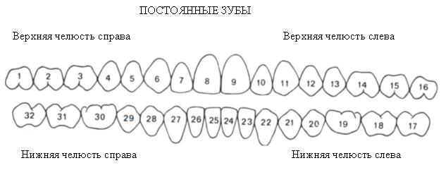 Оценка и регистрация состояния зубов - student2.ru