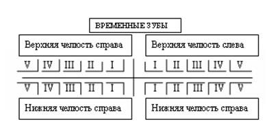 Оценка и регистрация состояния зубов - student2.ru