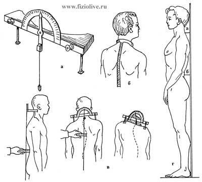 Определение искривления позвоночника - student2.ru