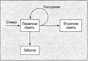 Ошибки памяти и свидетельские показания - student2.ru