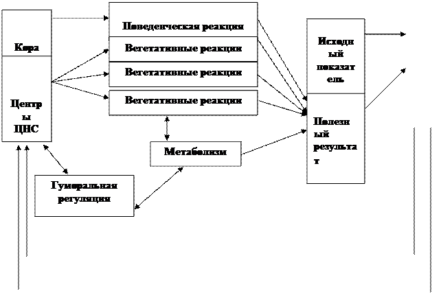 Основы онтогенеза человека - student2.ru