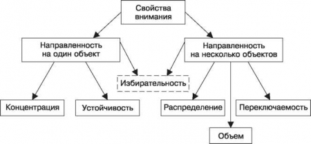 Особенности внимания как психического процесса. Виды внимания. - student2.ru