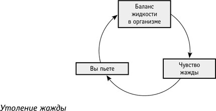 Петли обратной связи — сущность систем - student2.ru