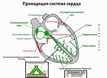 По применению в клинической практике - student2.ru