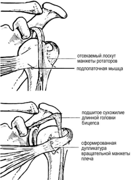 Показатели состояния мягких тканей области плечевого сустава - student2.ru