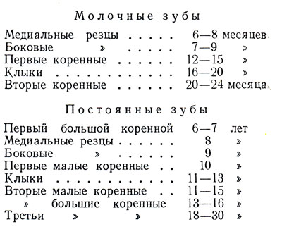 полость рта - student2.ru