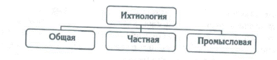 Понятие промысловой ИХТИОЛОГИИ как науки - student2.ru