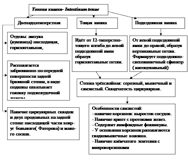 Практическое занятие для студентов № 8-2 - student2.ru