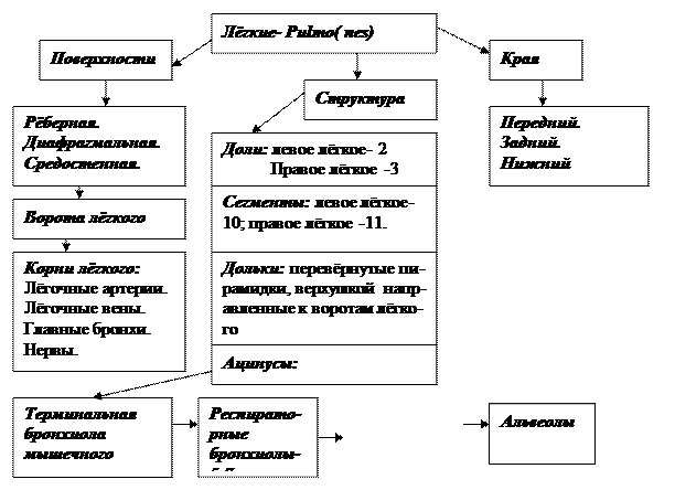 Практическое занятие №7. 2 - student2.ru