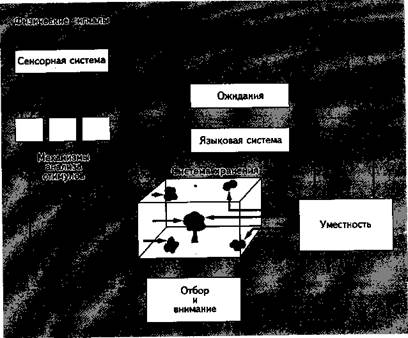 Пропускная способность и избирательность внимай - student2.ru