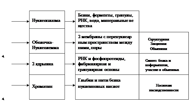 прямая связь - student2.ru