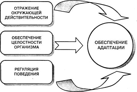 психика как объект психологии - student2.ru