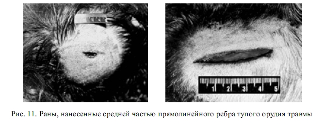 Раны от воздействия тупых орудий травмы - student2.ru