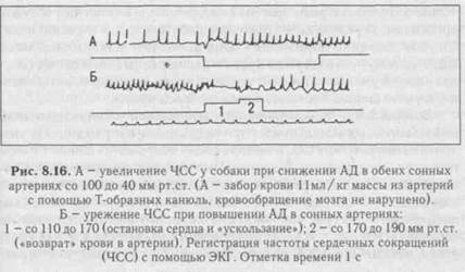 регуляция системного артериального давления - student2.ru
