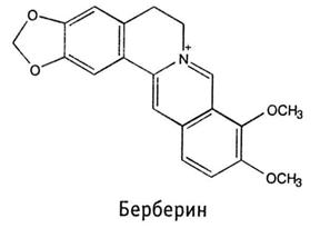 Сем. барбарисовые - Berberidaceae. Другие названия: кислянка, кислый терн - student2.ru