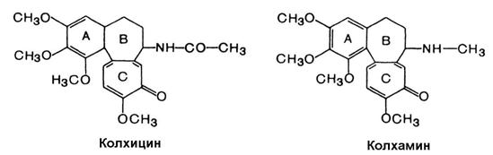 Сем. мелантиевые - Melanthiaceae - student2.ru