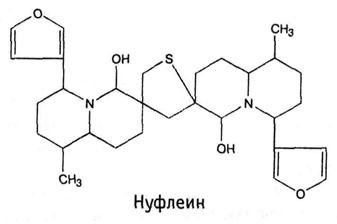 Сем. нимфейные - Nymphaeaceae - student2.ru
