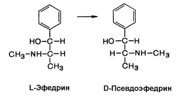 Сем. эфедровые - Ephedraceae - student2.ru